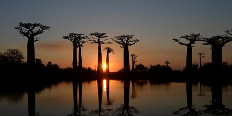 To Morondava